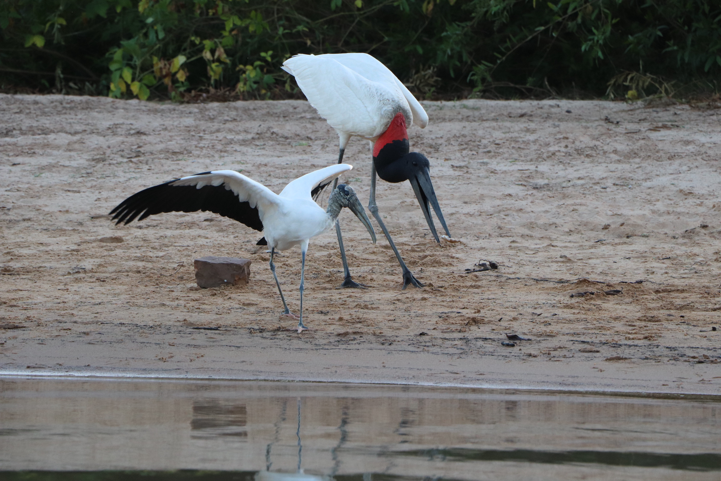 TURISMO RURAL PEDAGÓGICO – APRENDIZADO E EXPERIÊNCIA NO CAMPO
